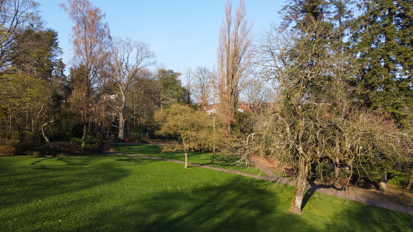 Foto 79 van Molenberglaan 81