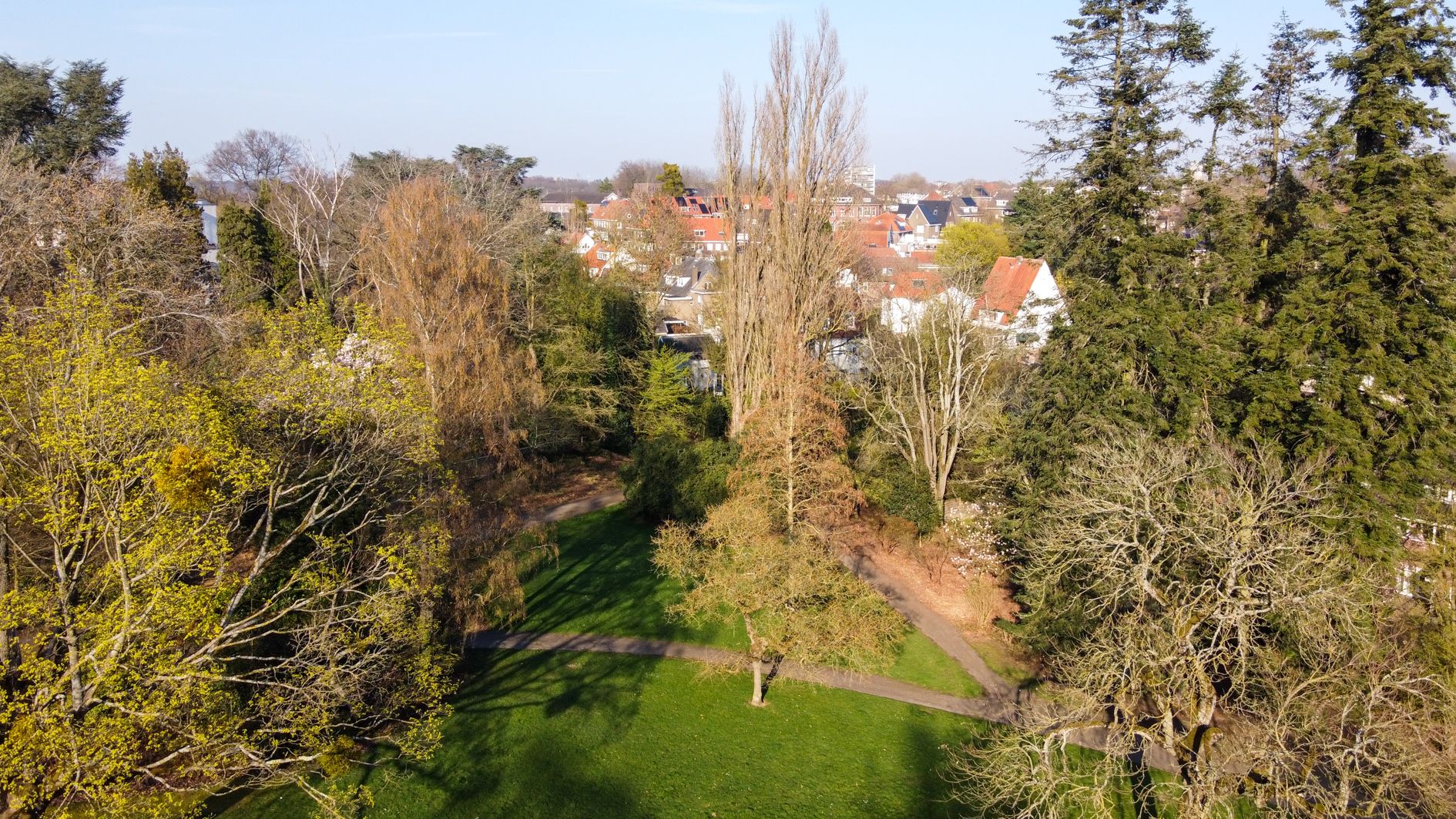 Foto 78 van Molenberglaan 81