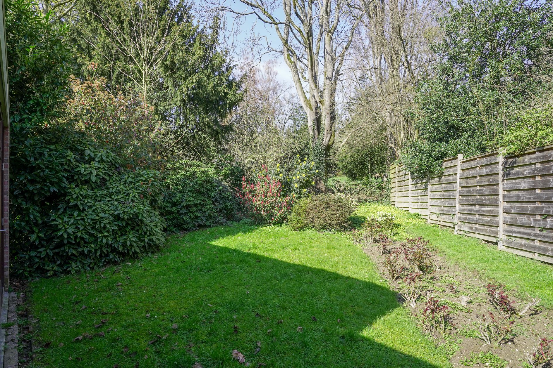 Foto 45 van Molenberglaan 81