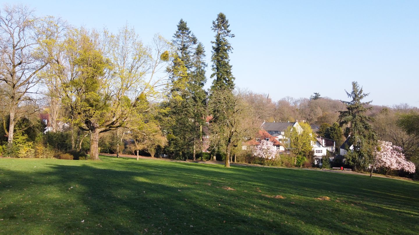 Foto 74 van Molenberglaan 81