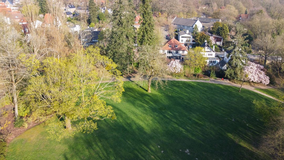 Foto 77 van Molenberglaan 81