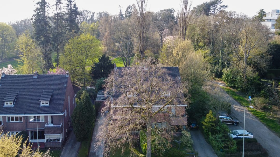 Foto 62 van Molenberglaan 81