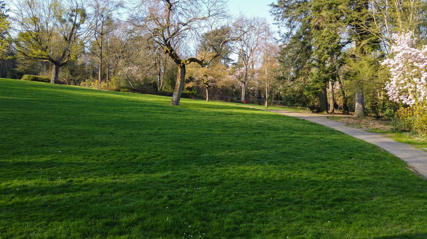 Foto 94 van Molenberglaan 81