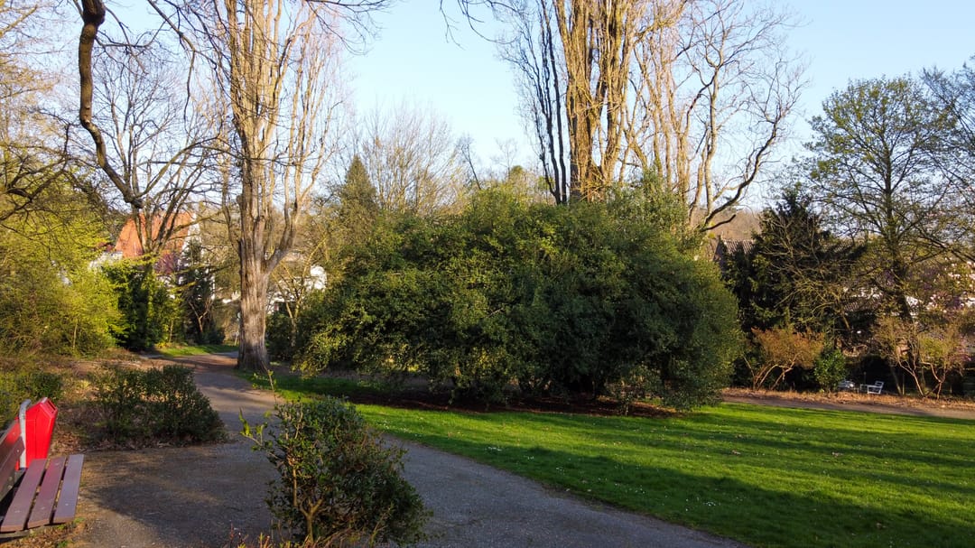 Foto 97 van Molenberglaan 81