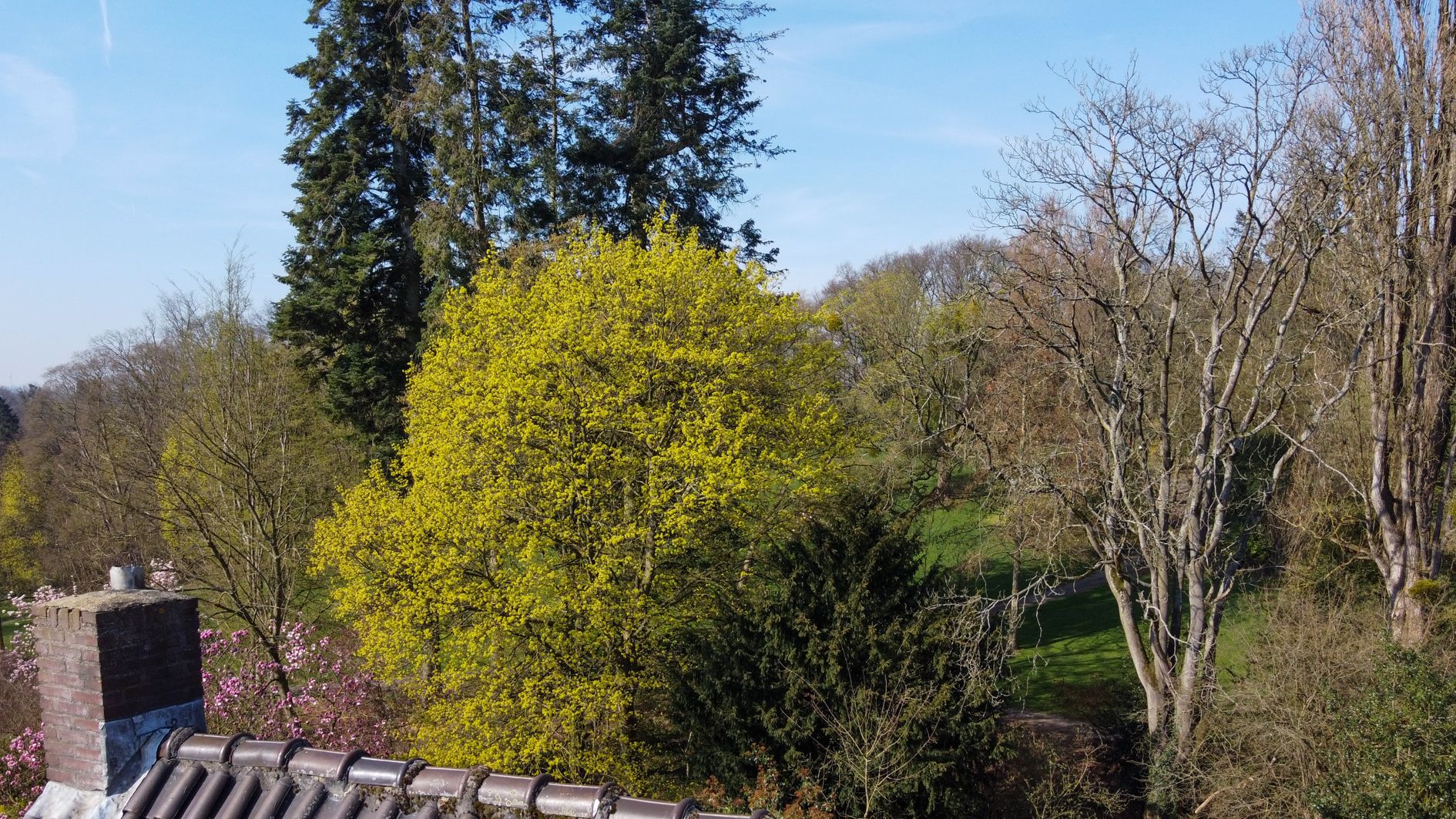 Foto 111 van Molenberglaan 81