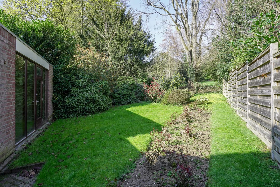 Foto 52 van Molenberglaan 81