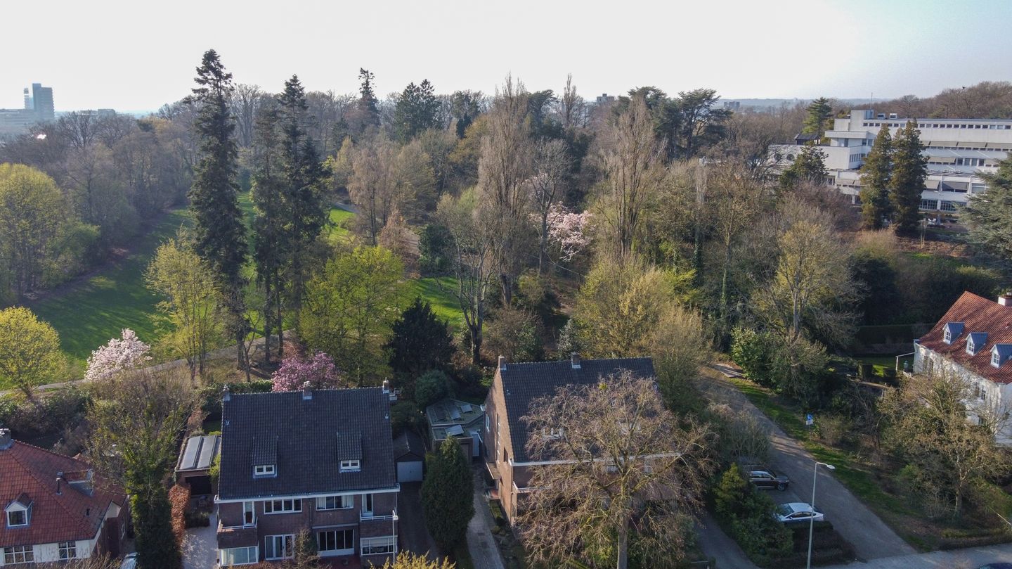 Foto 65 van Molenberglaan 81