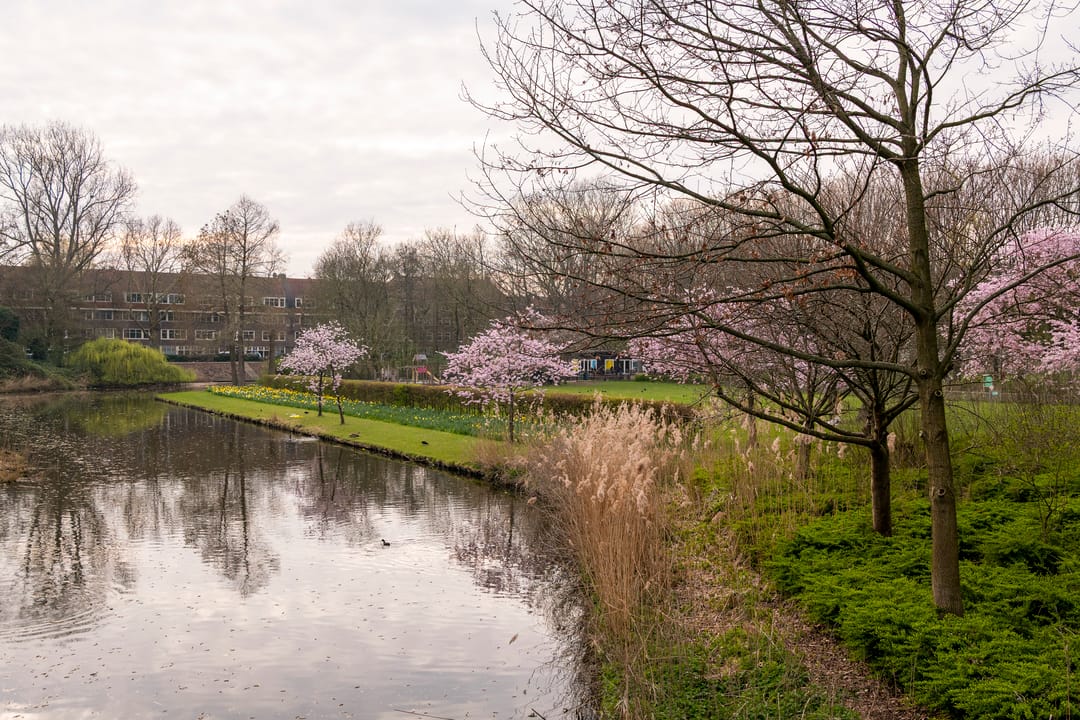 Foto 37 van John Franklinstraat 67-3