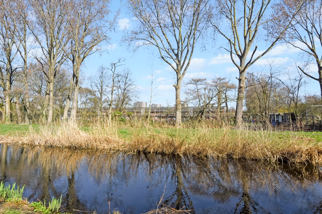 Foto 26 van Van Lansbergestraat 184