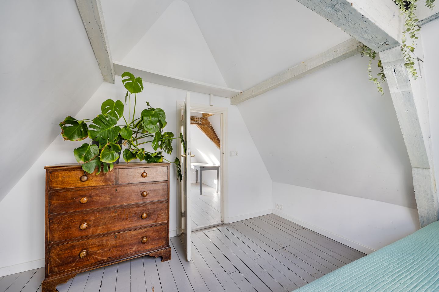 Foto 20 van Berkenrodesteeg 6