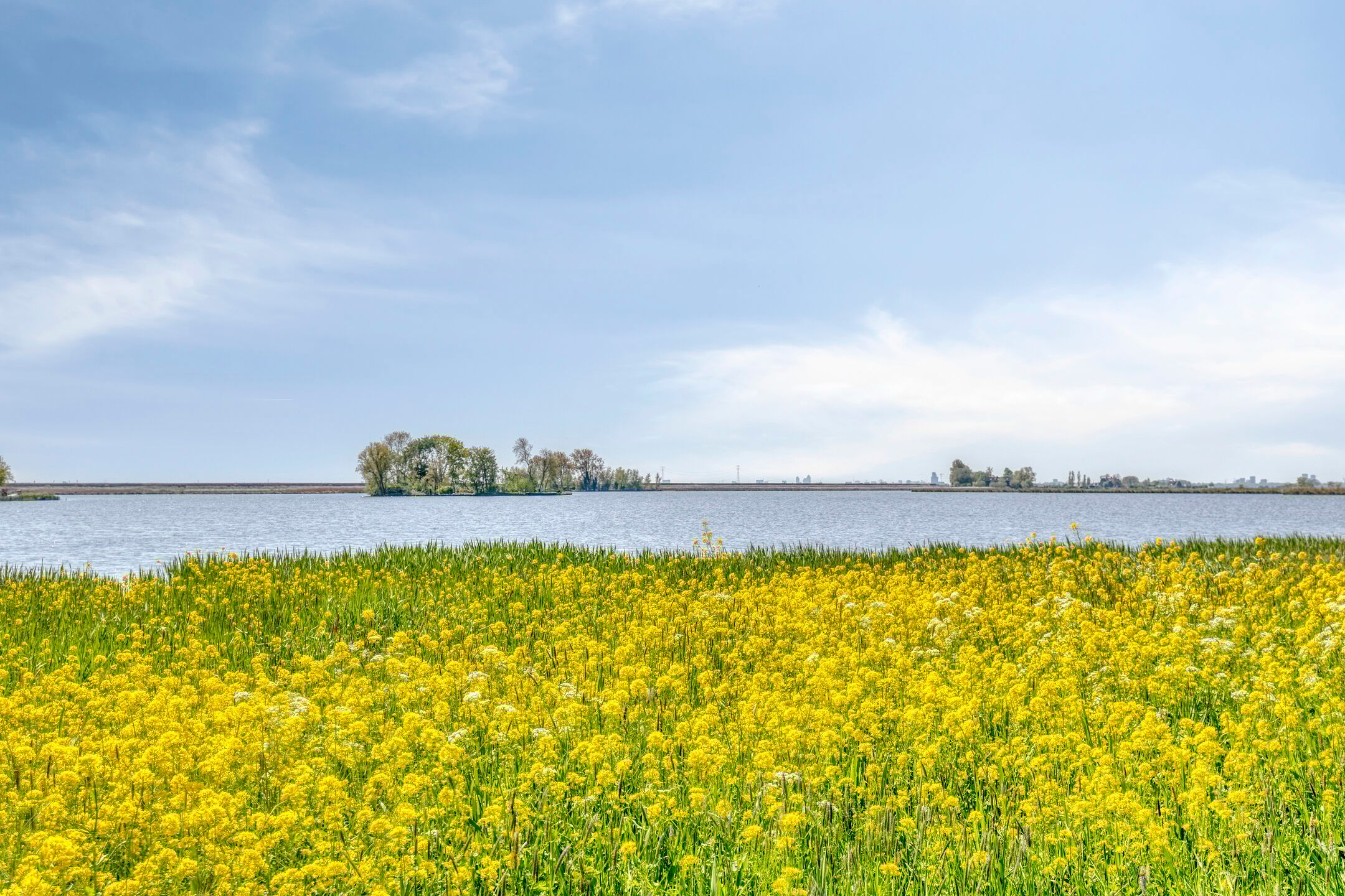 Foto 66 van Uitdammer Dorpsstraat 22