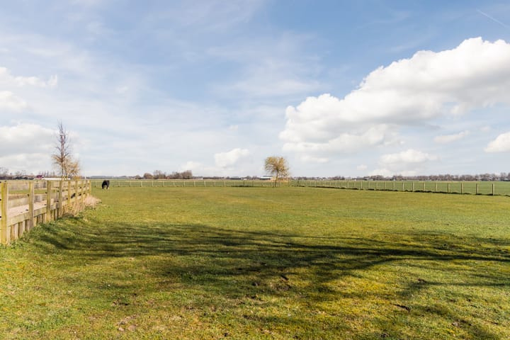 Foto 4 van Diepsmeerweg 58