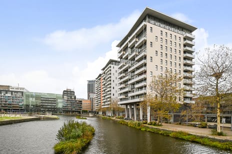 Fijnjekade thumbnail