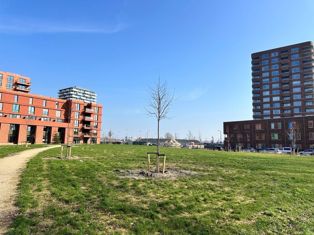 Photo 26 of Hilledijk 148-A