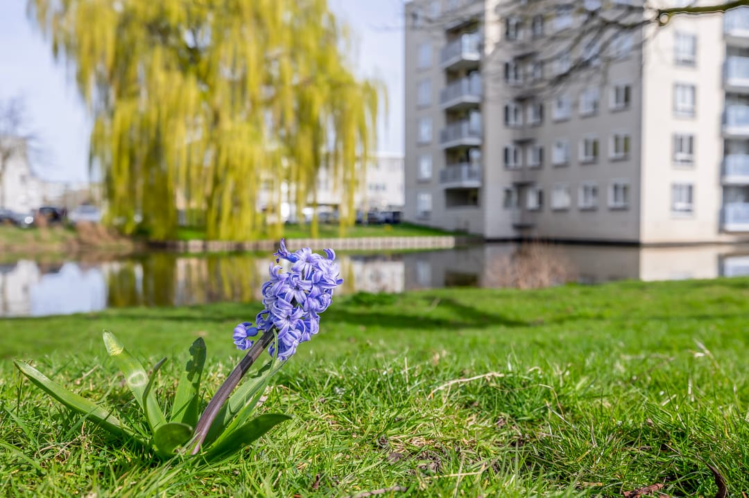 Photo 47 of Attleestraat 3