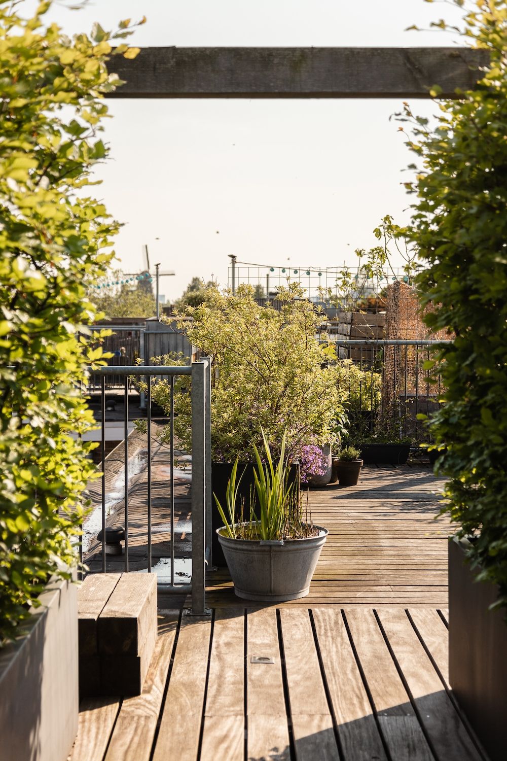 Foto 46 van Blankenstraat 378-C