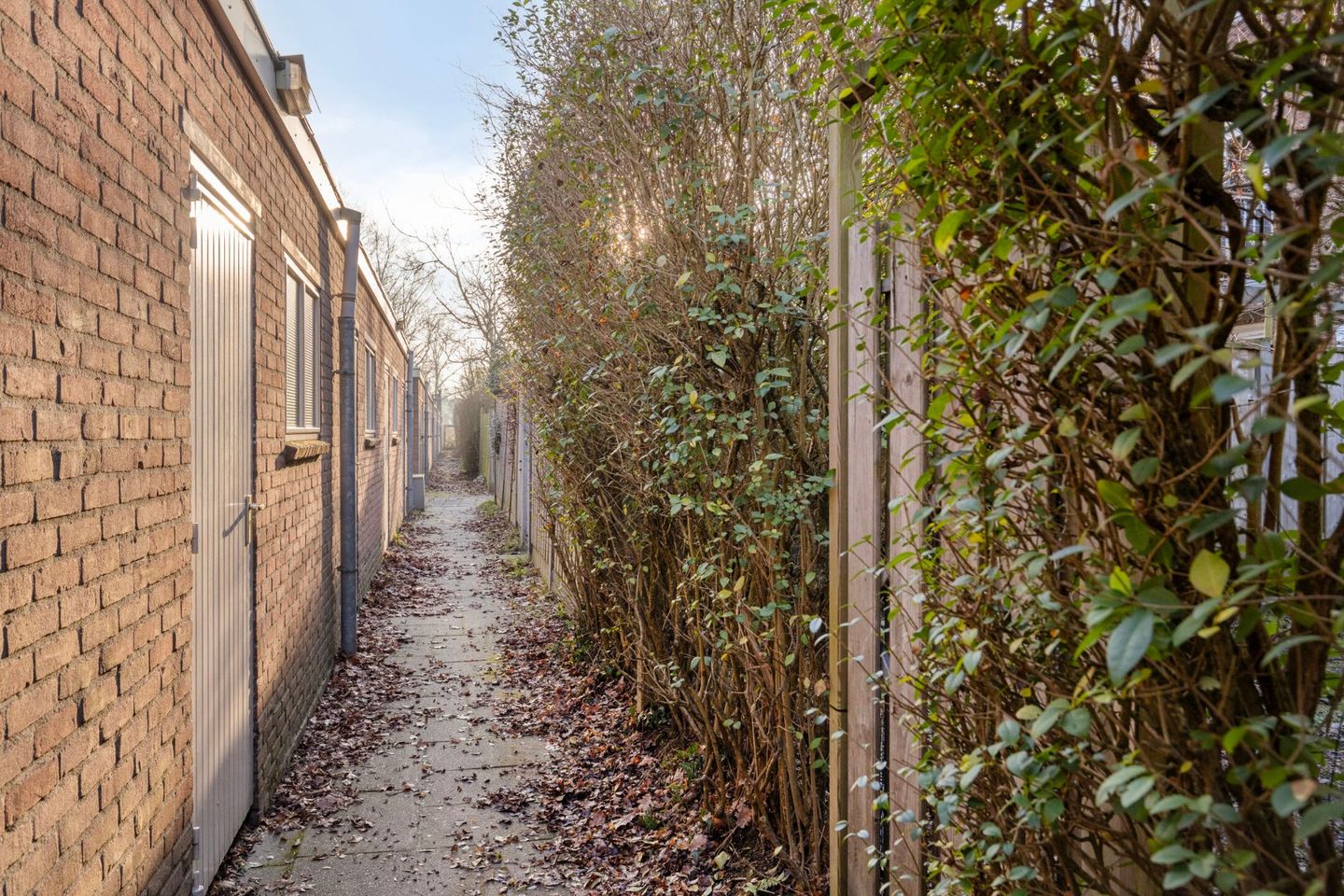 Photo 19 of Petrus Dondersstraat 163