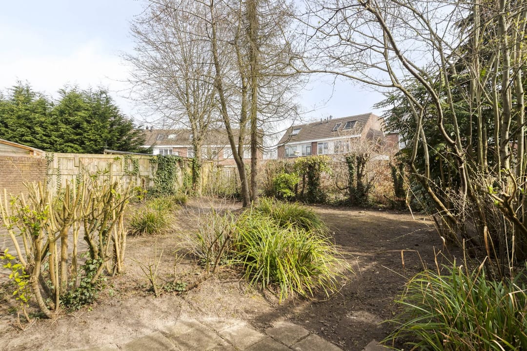 Foto 26 van Botter 36 13