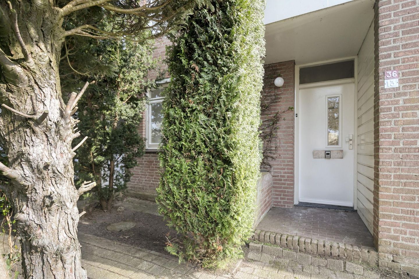 Foto 5 van Botter 36 13