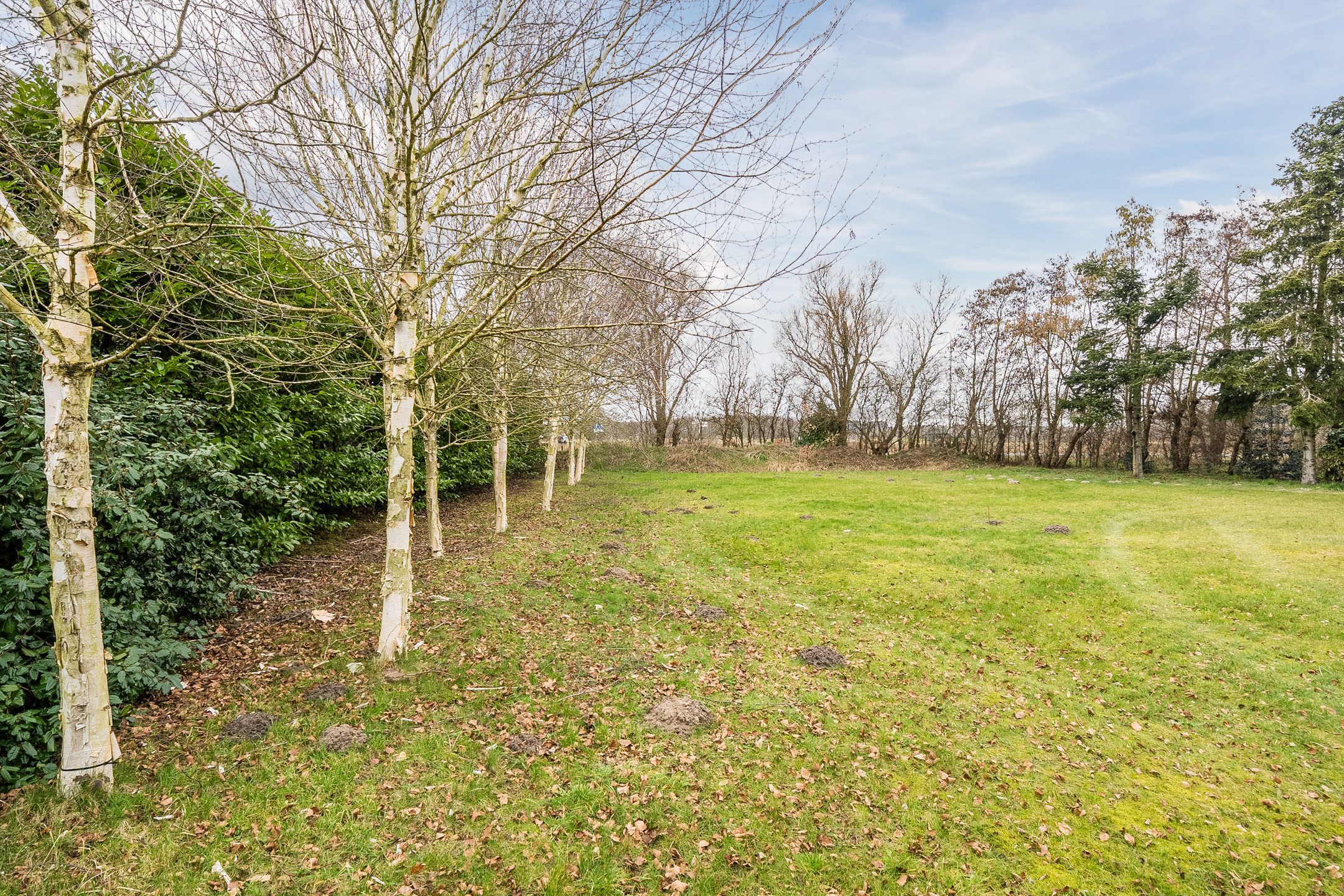 Photo 3 of Meeuwenlaan