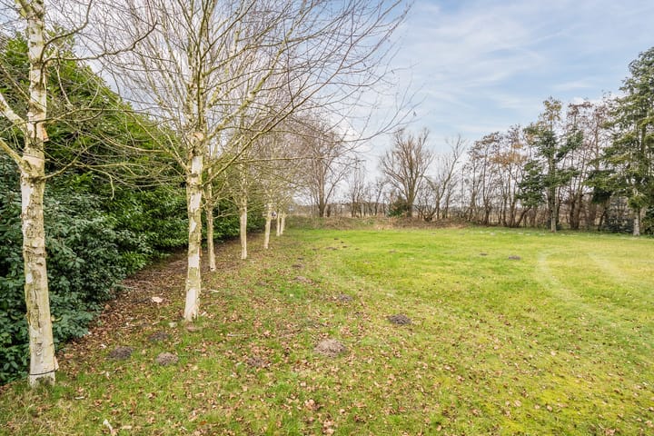 Photo 3 of Meeuwenlaan