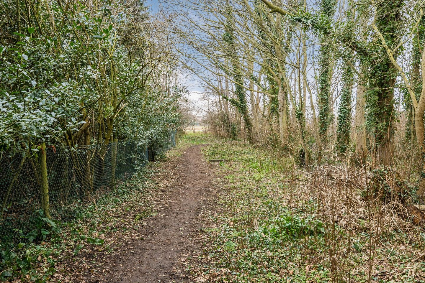 Photo 4 of Meeuwenlaan