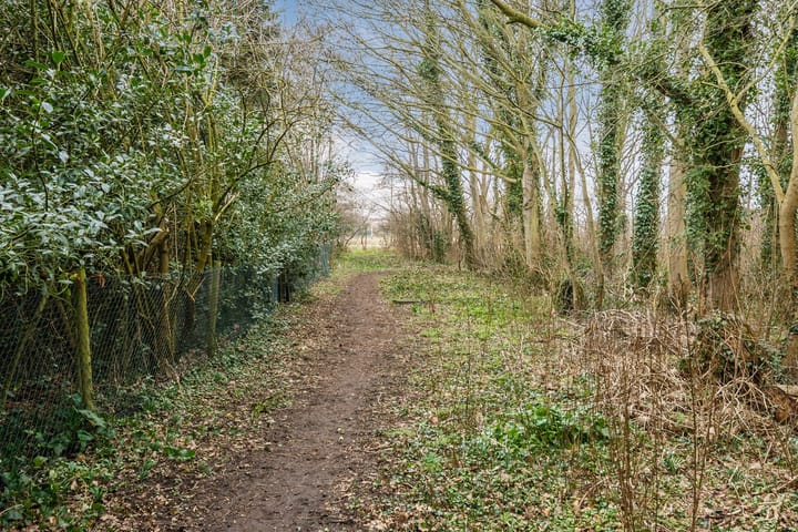 Photo 4 of Meeuwenlaan