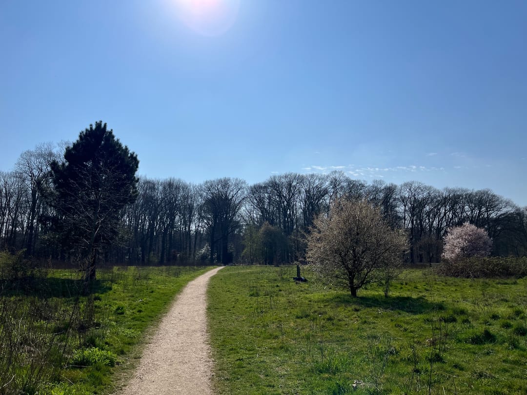 Photo 56 of Driehuizerweg 310