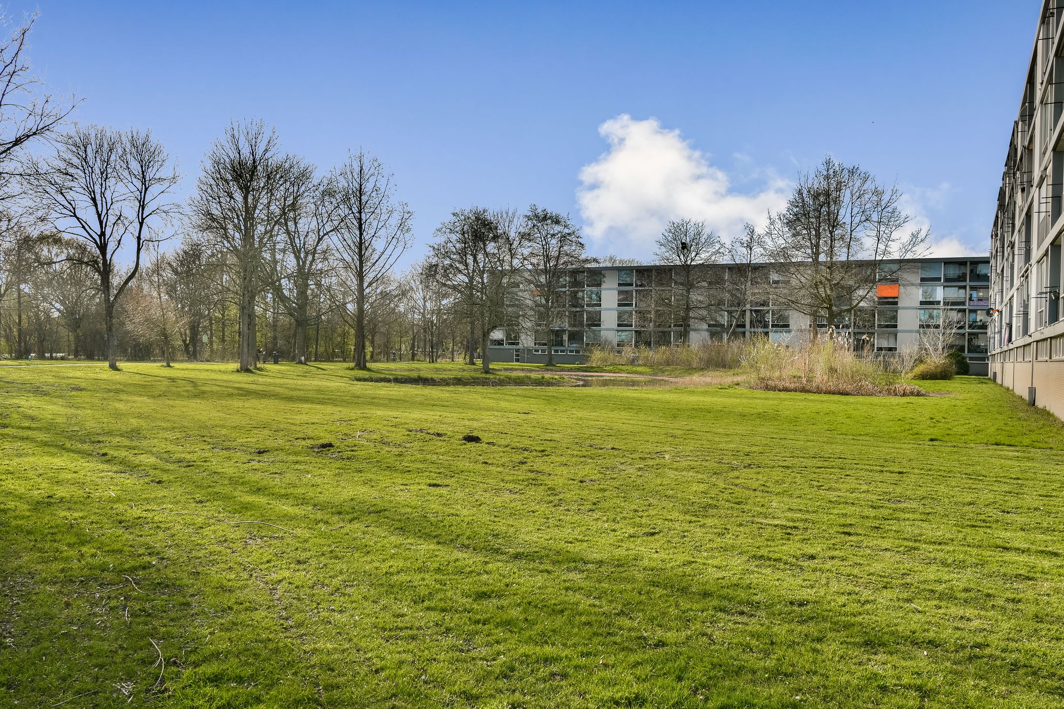 Foto 24 van Corneillestraat 32