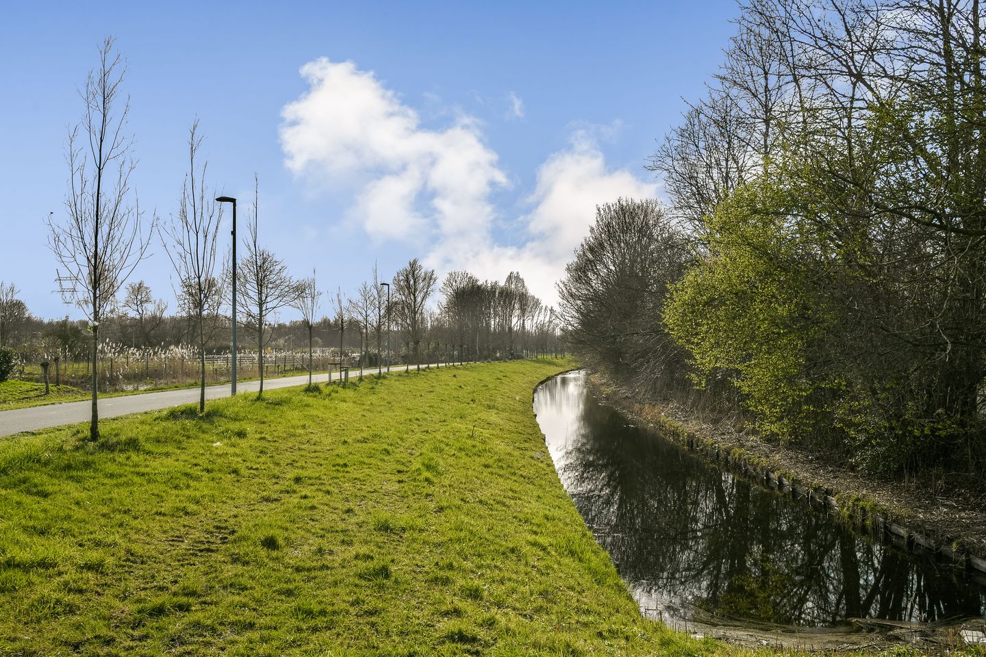 Foto 25 van Corneillestraat 32