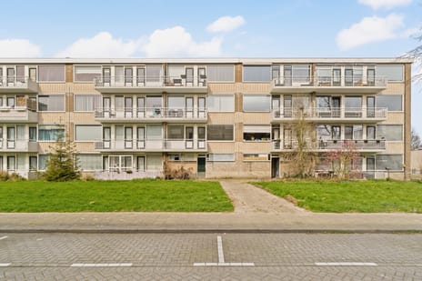 Stalpaertstraat thumbnail