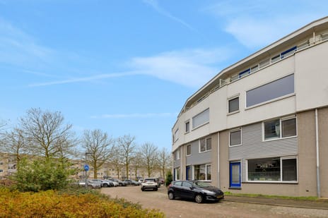 Lavendelveld thumbnail