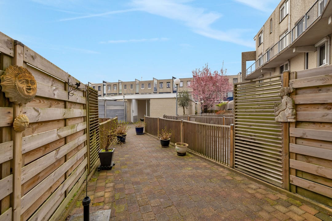 Foto 7 van Lavendelveld 53