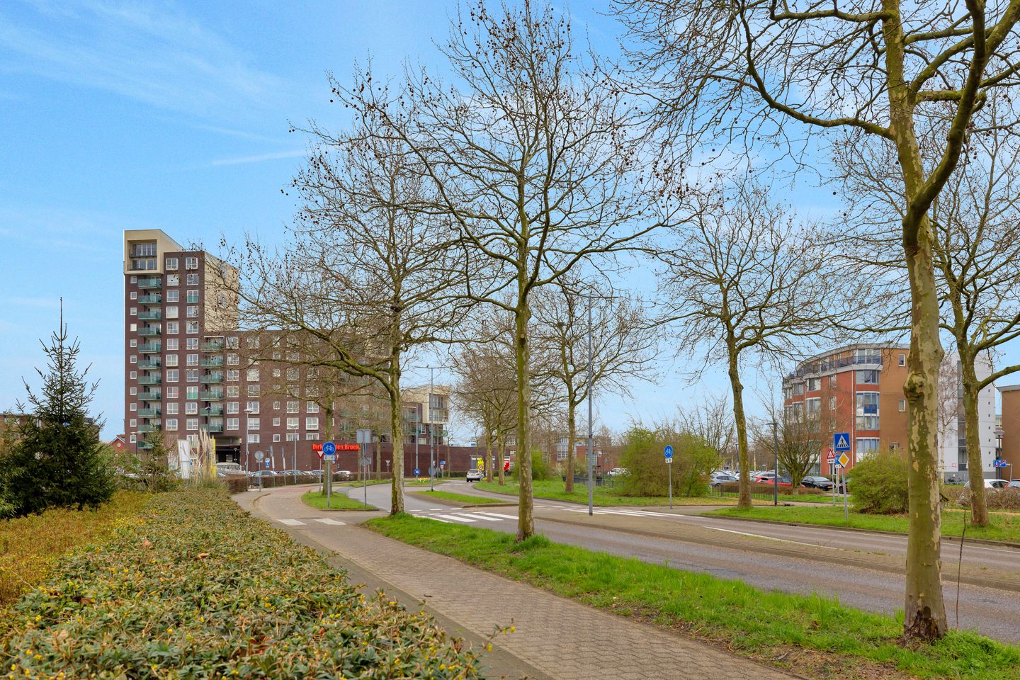 Foto 29 van Lavendelveld 53