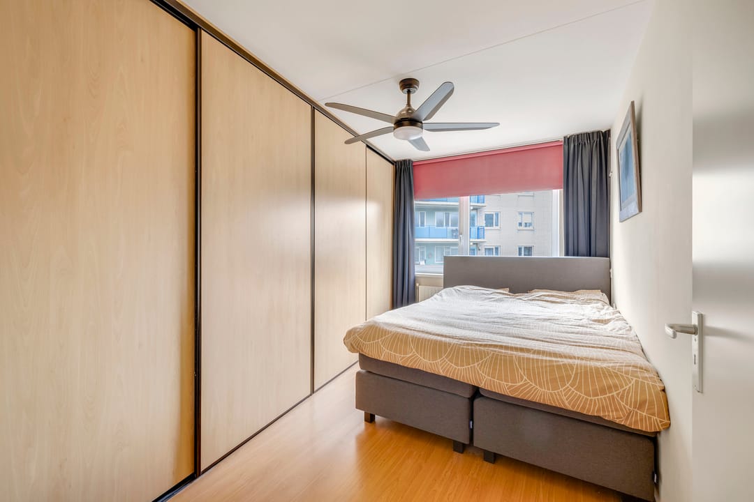 Foto 16 van Lavendelveld 53