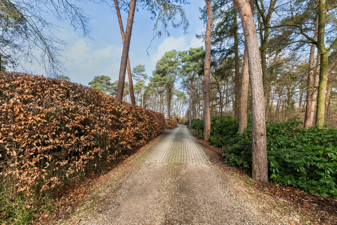 Foto 38 van Tullekenweg 22