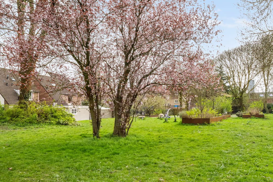 Foto 32 van Zonstraat 50