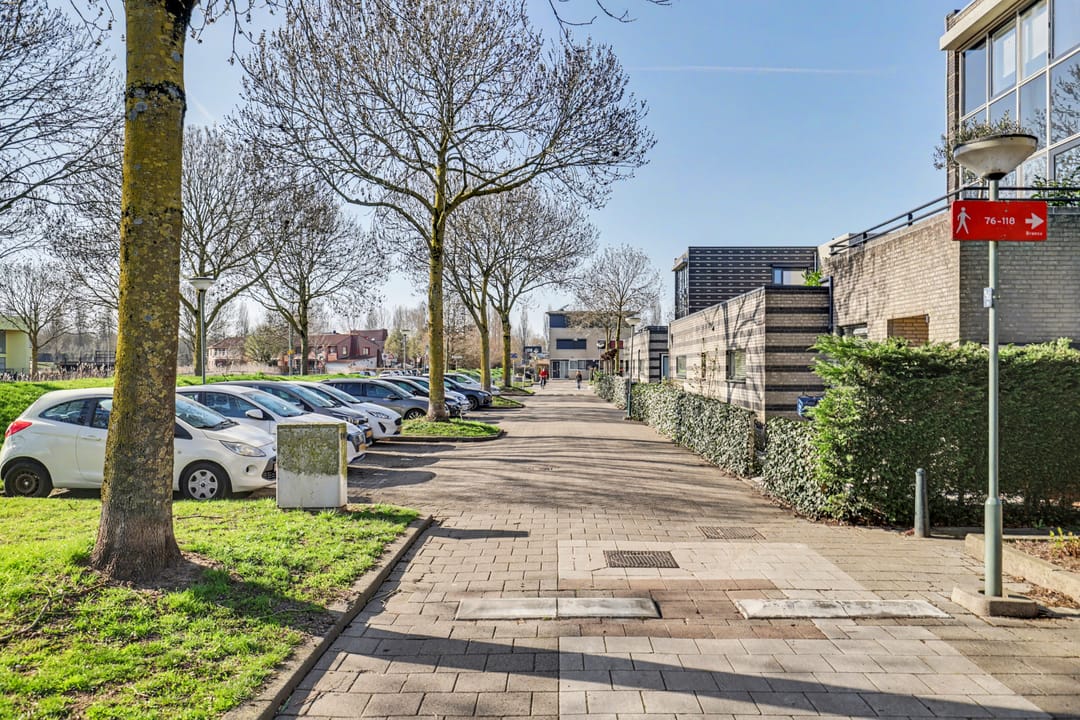 Photo 7 of Branco 95