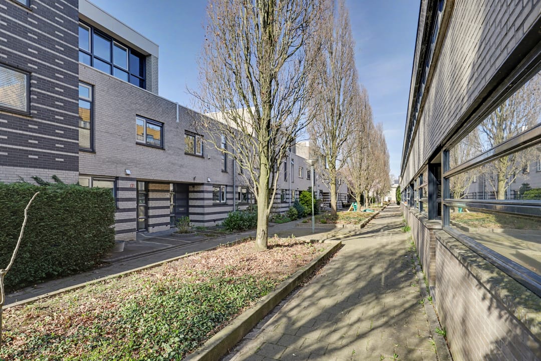 Photo 8 of Branco 95