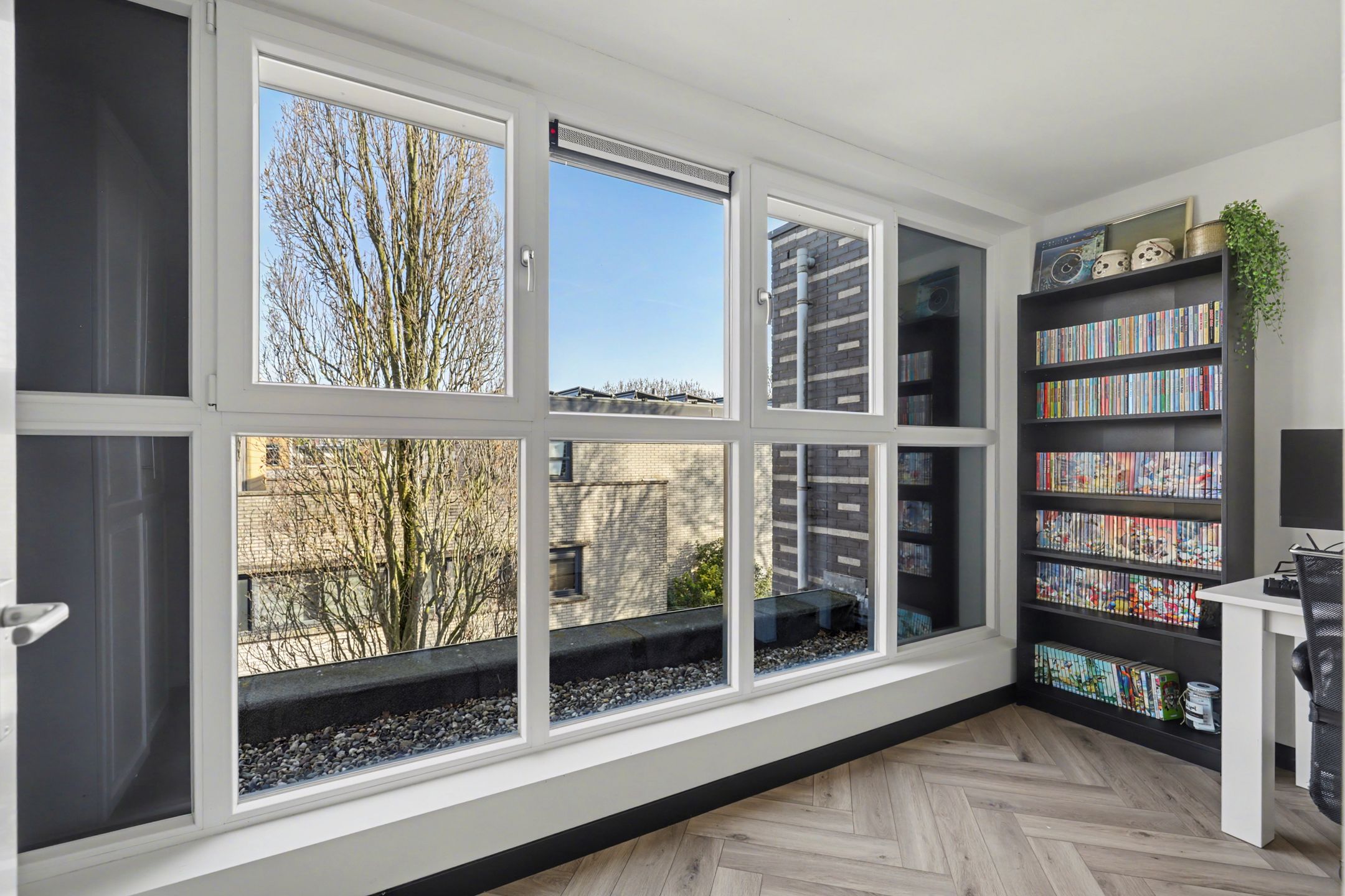 Photo 45 of Branco 95