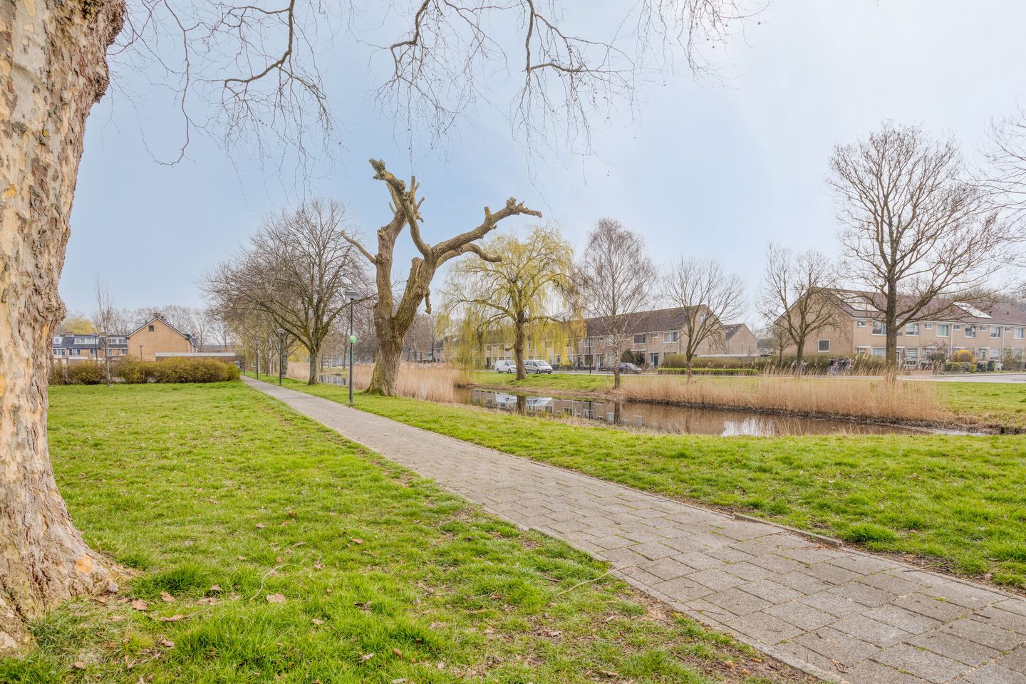 Foto 35 van Olmenlaan 41