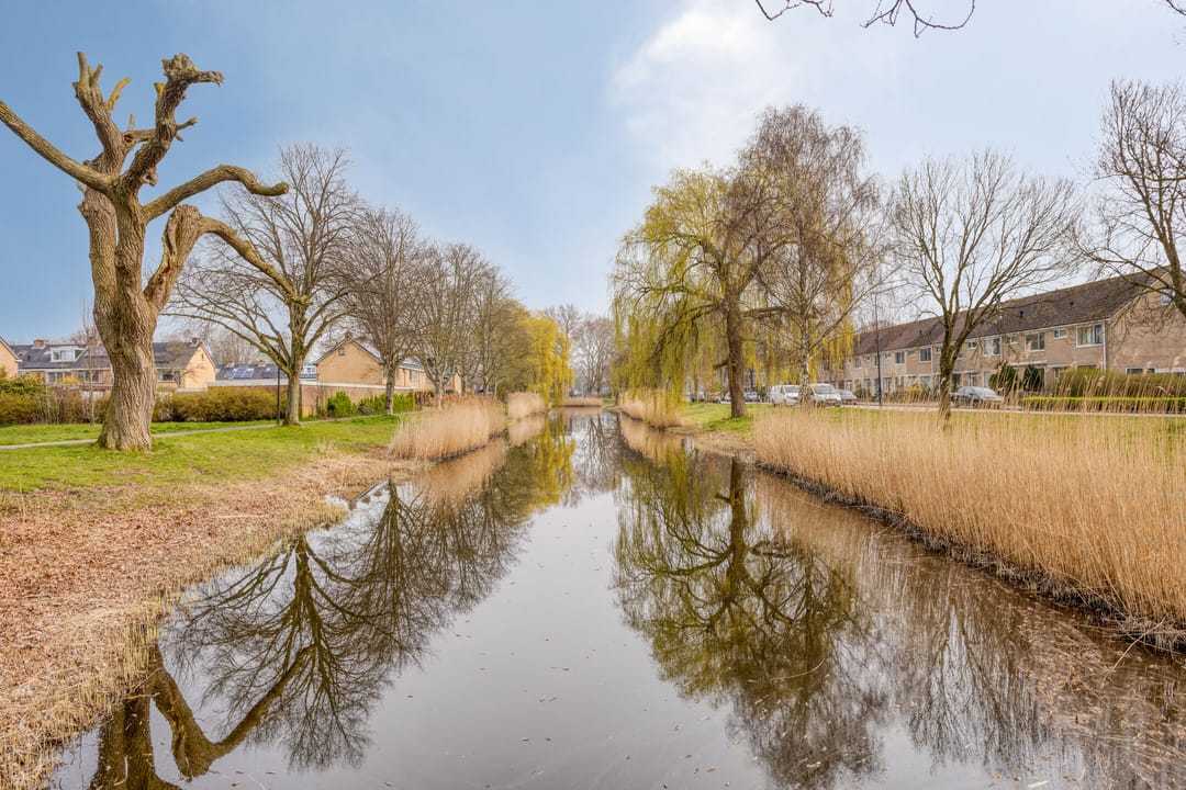 Foto 37 van Olmenlaan 41