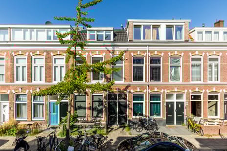 Saenredamstraat thumbnail