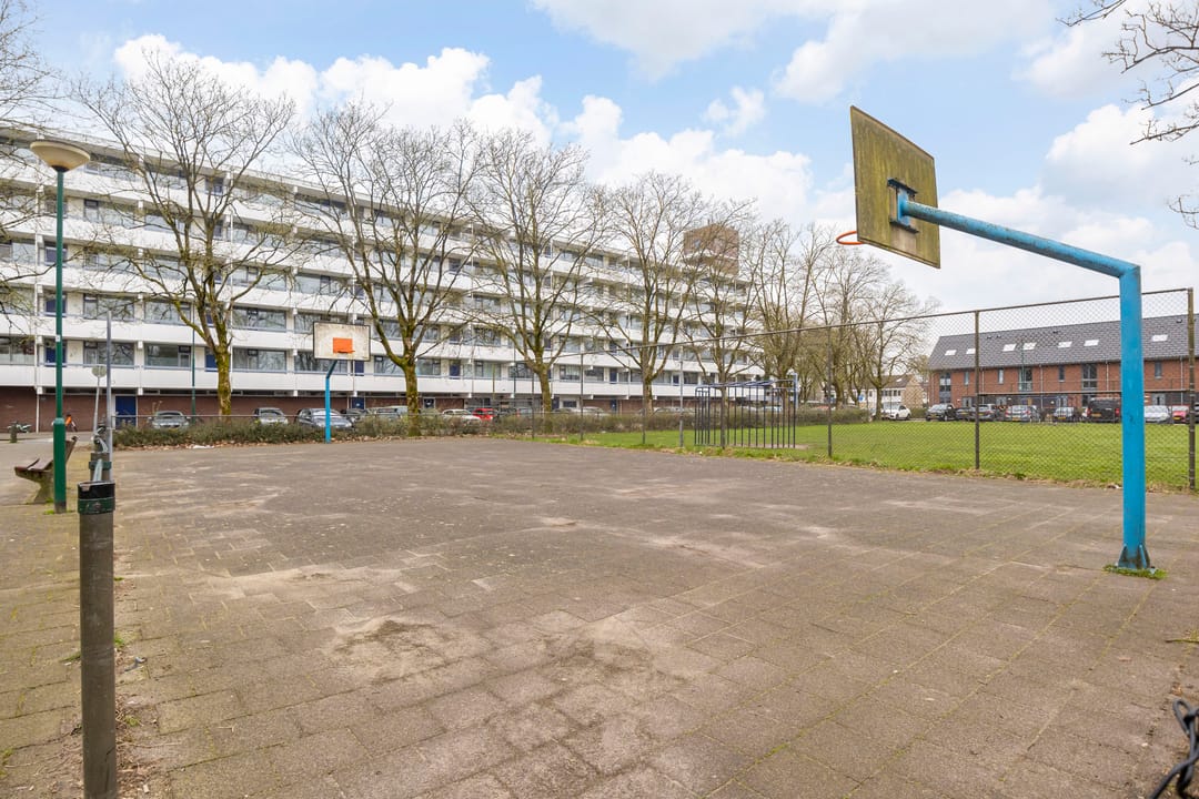 Foto 41 van Pollux 201