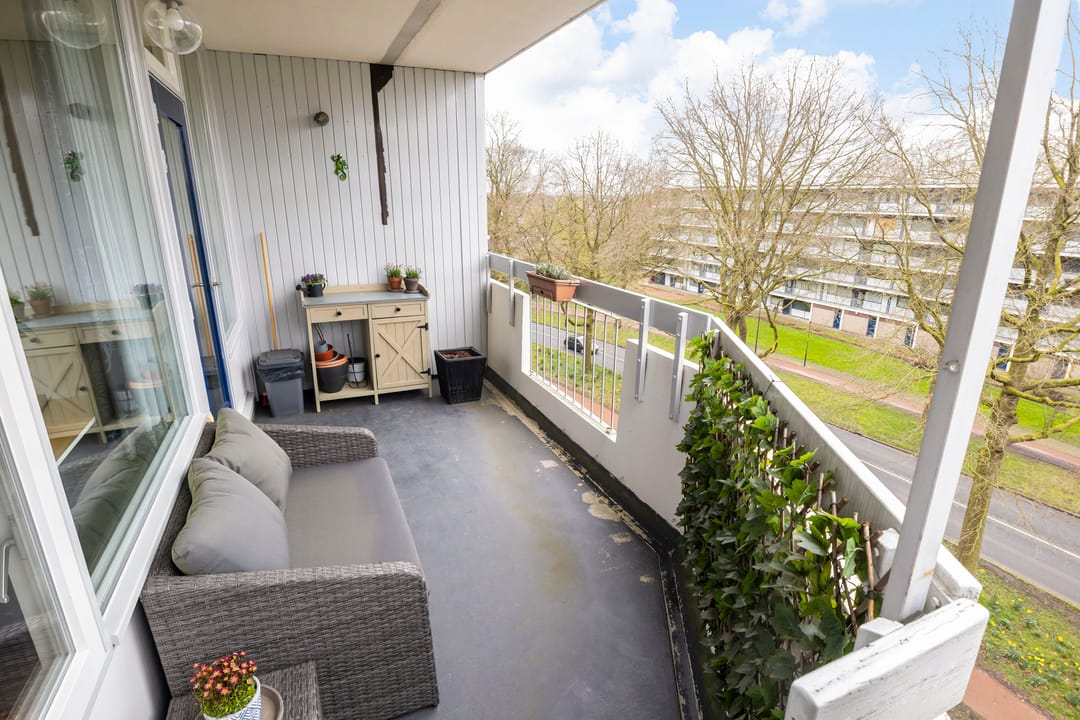 Foto 31 van Pollux 201