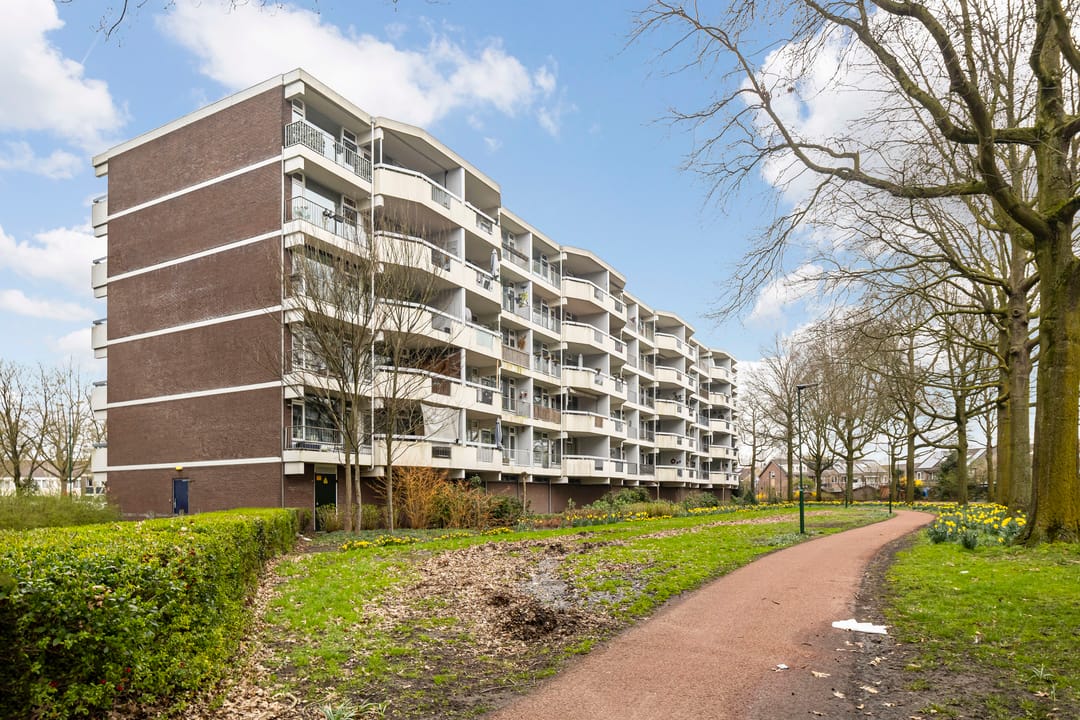 Foto 2 van Pollux 201