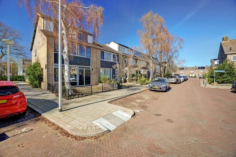 undefined main image