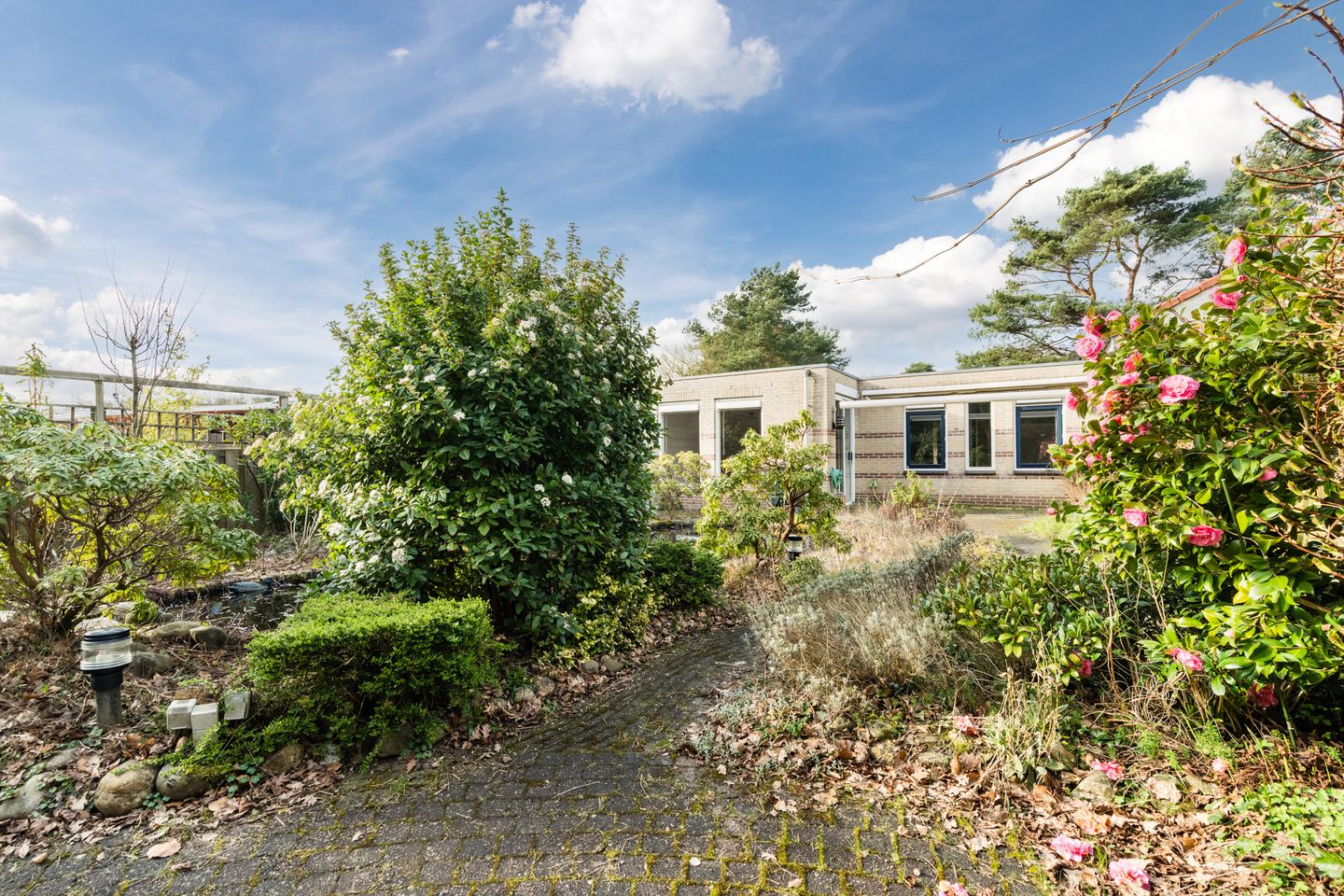 Foto 20 van Mercury 98