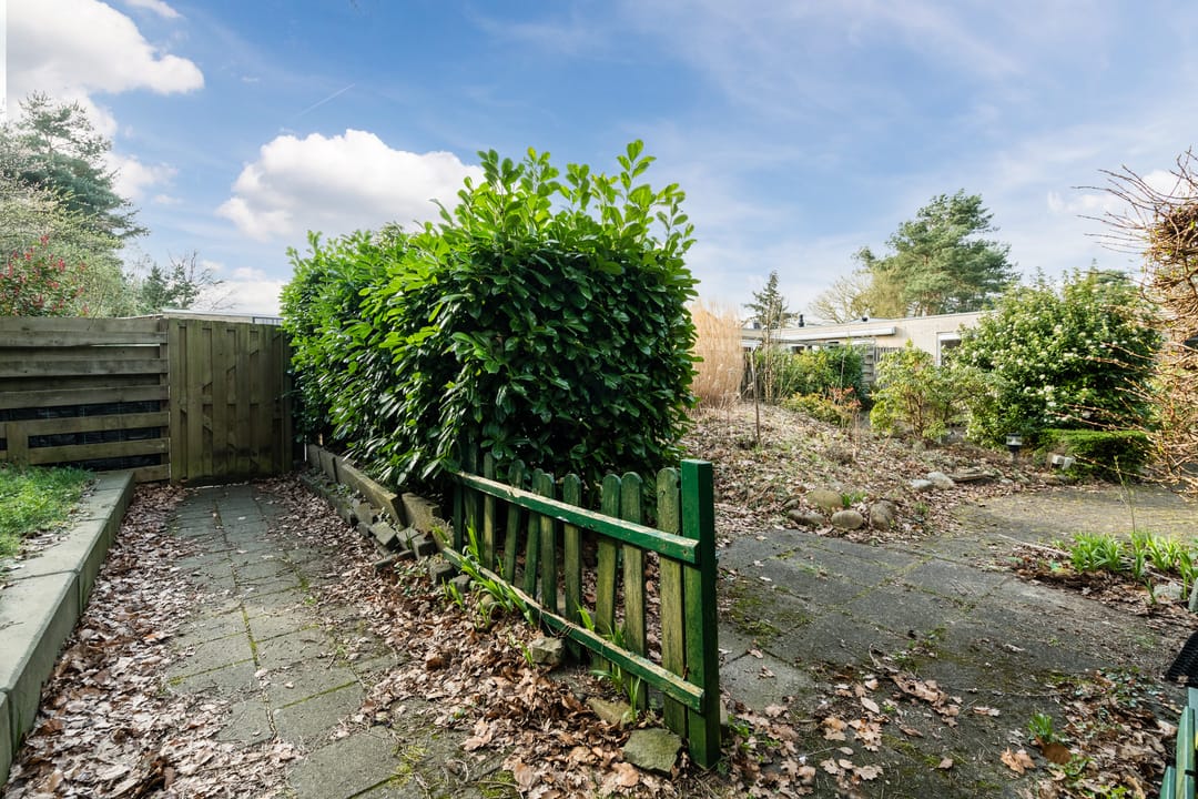 Foto 22 van Mercury 98