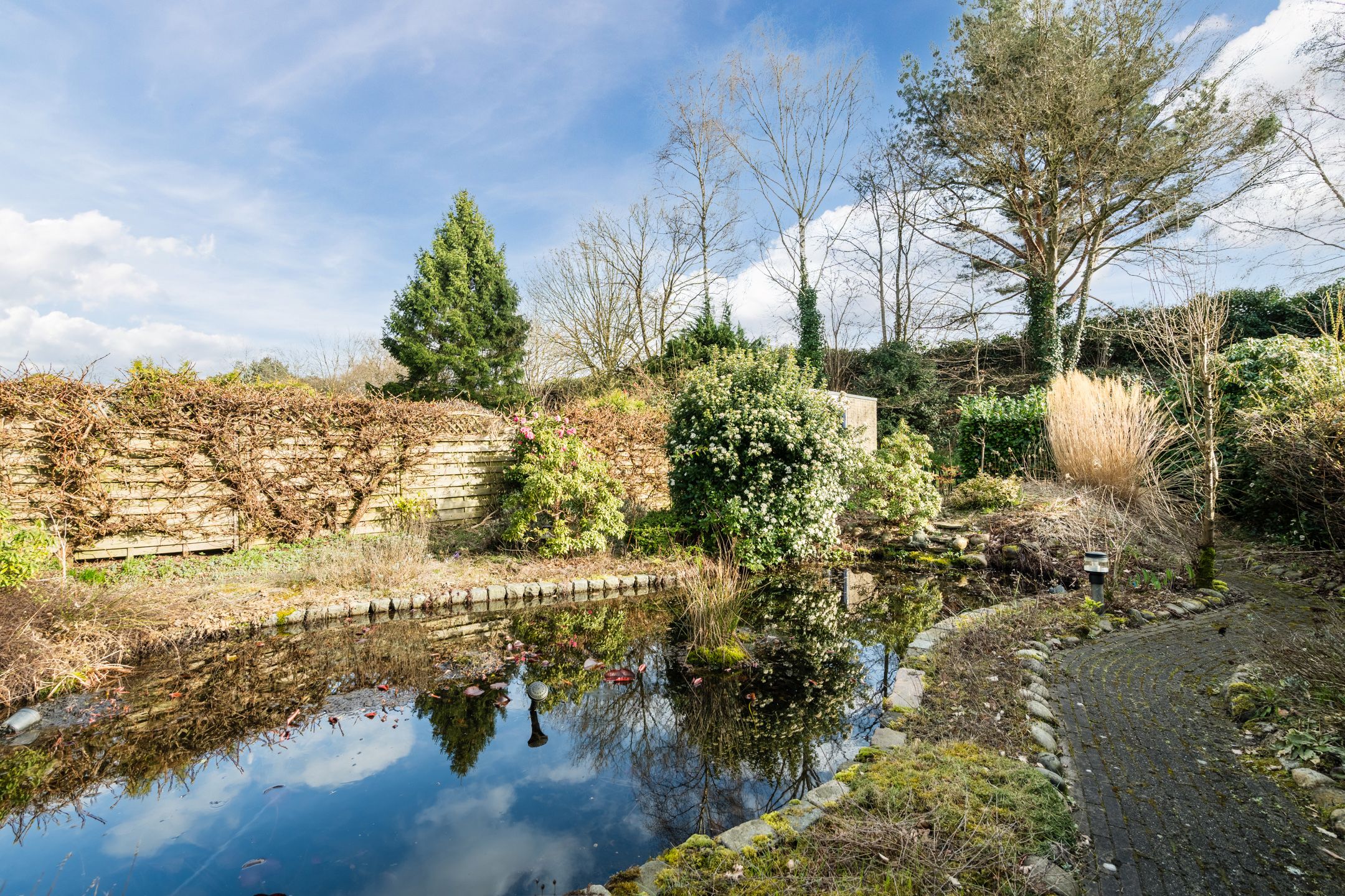 Foto 18 van Mercury 98